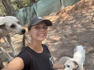 Hund Bellitsa adoptieren