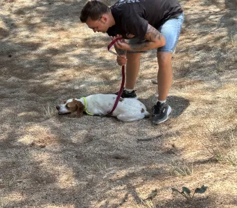 Adopt Aris