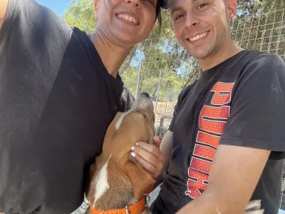 Adopt Kimonas