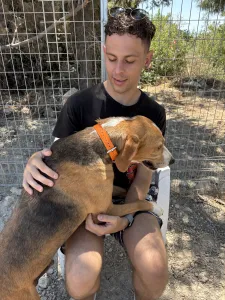Adopt Kimonas