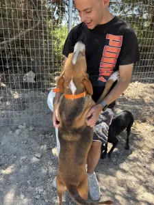 Adopt Kimonas